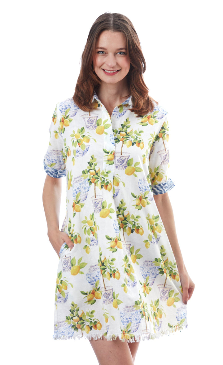 Chatham Dress Lemons And Chinoiserie XS / 615A-S861-XS