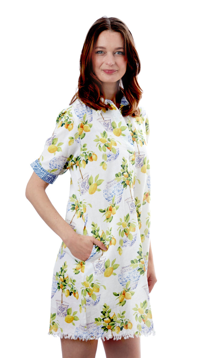 Chatham Dress Lemons And Chinoiserie XS / 615A-S861-XS