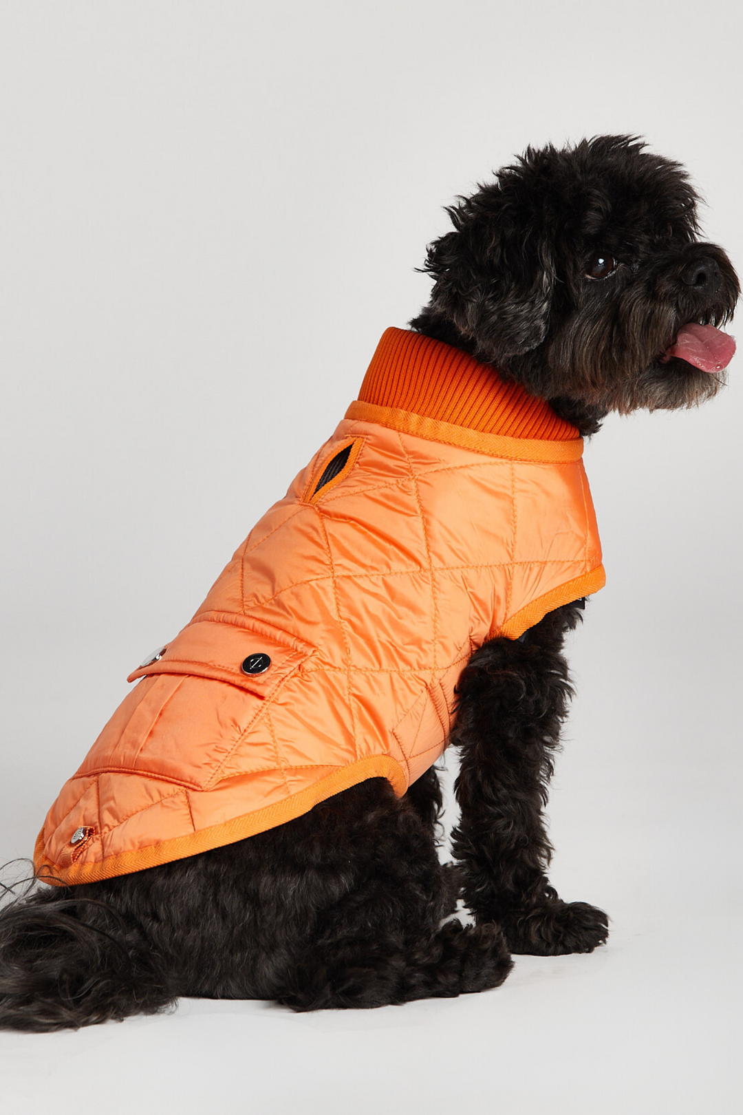 Romeo Quilted Dog Coat