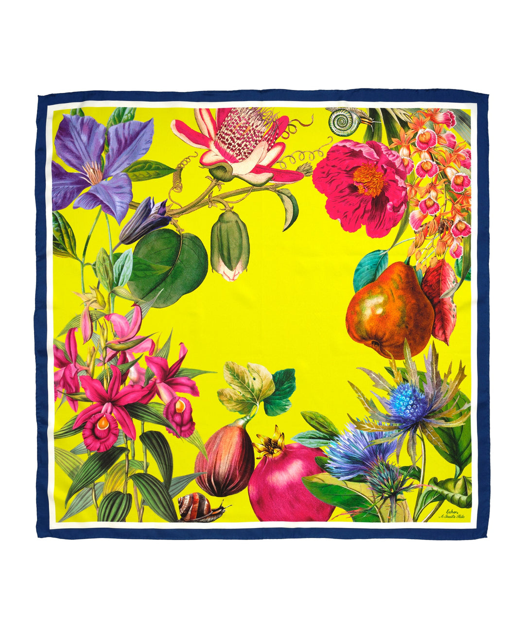 A Snail's Tale 35" Silk Square Scarf